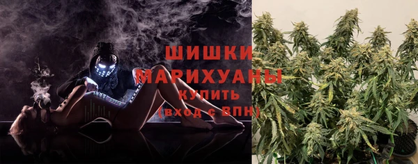 Альфа ПВП Аркадак