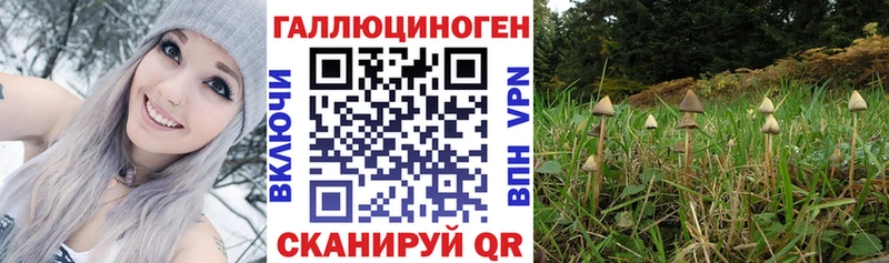 Псилоцибиновые грибы ЛСД  omg ссылка  Оленегорск 